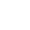 icon (20)