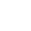 icon (21)